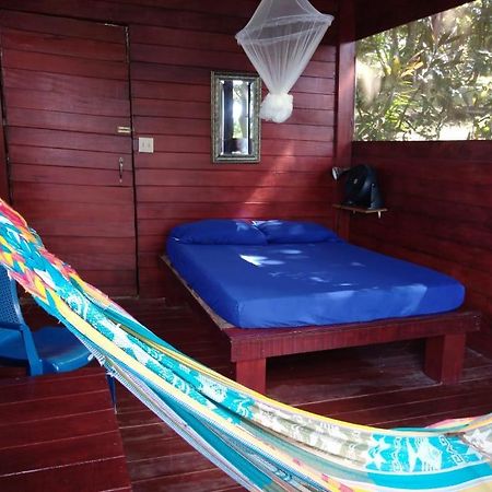 Howlers Bay Cabin And Camping โบกา ชิกา ภายนอก รูปภาพ